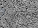 key visualization for L10_ts_003