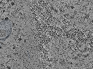 key visualization for L10_ts_003