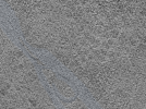 key visualization for L10_ts_004