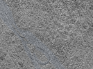 key visualization for L10_ts_004