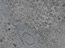 key visualization for L10_ts_004
