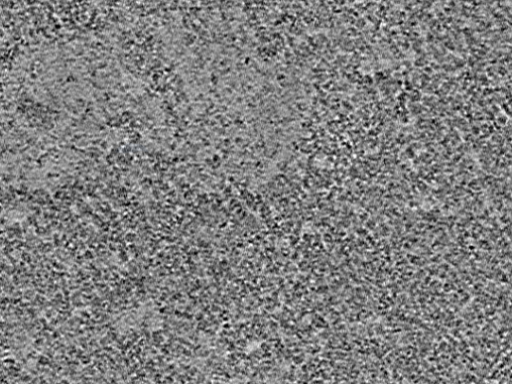 key visualization for L10_ts_006