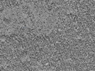 key visualization for L10_ts_006