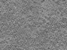 key visualization for L10_ts_007