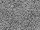 key visualization for L10_ts_007