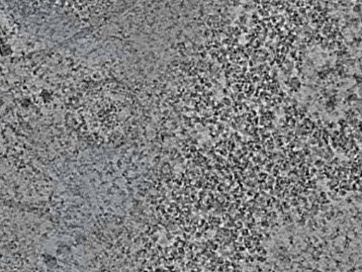key visualization for L10_ts_009