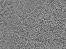key visualization for L10_ts_010