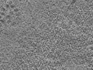 key visualization for L10_ts_010