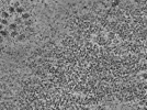 key visualization for L10_ts_010
