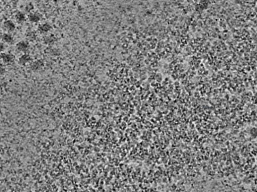 key visualization for L10_ts_010