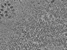 key visualization for L10_ts_010