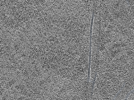 key visualization for L11_ts_002