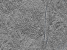 key visualization for L11_ts_002