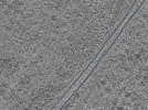 key visualization for L11_ts_003
