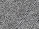 key visualization for L11_ts_003