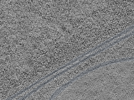 key visualization for L11_ts_004