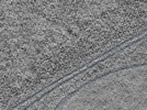 key visualization for L11_ts_004