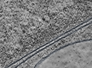 key visualization for L11_ts_004