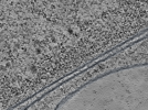 key visualization for L11_ts_004