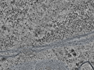 key visualization for L11_ts_005