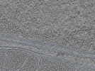 key visualization for L11_ts_006