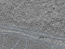 key visualization for L11_ts_006