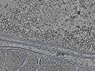 key visualization for L11_ts_006