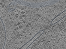 key visualization for L12_ts_002