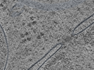 key visualization for L12_ts_002