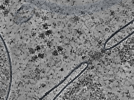 key visualization for L12_ts_002