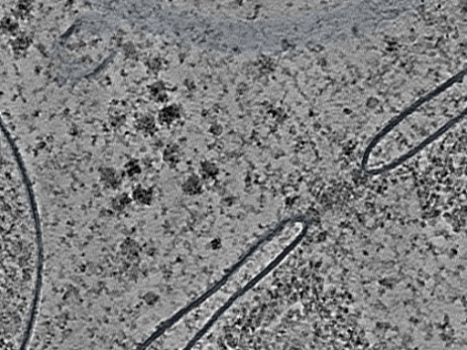 key visualization for L12_ts_002