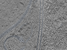 key visualization for L12_ts_003