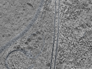 key visualization for L12_ts_003