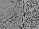key visualization for L12_ts_003