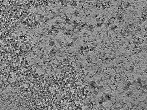 key visualization for L12_ts_004