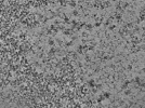 key visualization for L12_ts_004