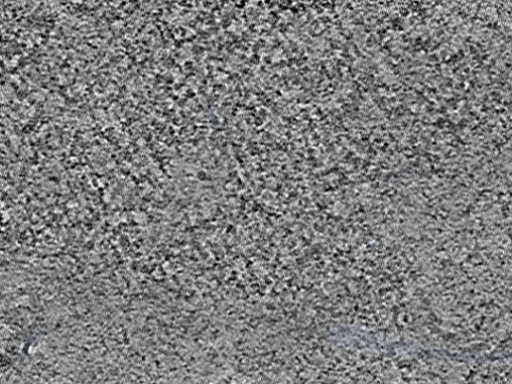 key visualization for L14_ts_002