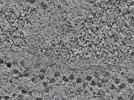 key visualization for L14_ts_006