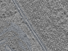 key visualization for L15_ts_002