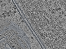 key visualization for L15_ts_002