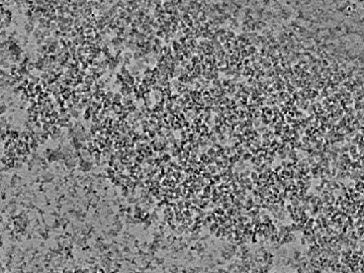 key visualization for L9_ts_005