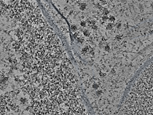 key visualization for L9_ts_006