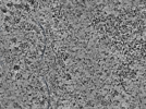 key visualization for L1_ts_003