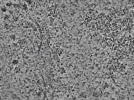 key visualization for L1_ts_003