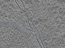 key visualization for L1_ts_004