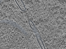 key visualization for L1_ts_004