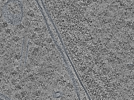 key visualization for L1_ts_005
