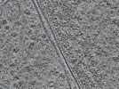 key visualization for L1_ts_005