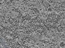 key visualization for L1_ts_006