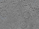 key visualization for L1_ts_008